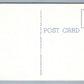 SWAN LAKE NY GREETINGS VINTAGE POSTCARD