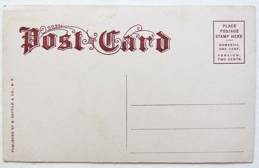 VINTAGE POSTCARD SHOOT THE CHUTES DREAMLAND CONEY ISLAND NY