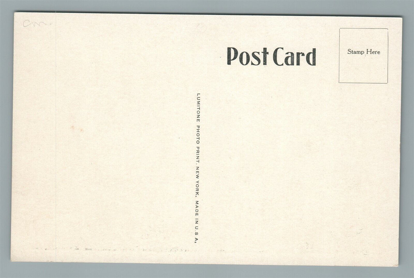 WILDWOOD NJ HOTEL ADELPHI-WITTE ANTIQUE POSTCARD