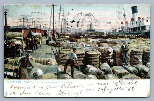 NEW ORLEANS LA SOUTHERN PACIFIC S.S. LANDING 1906 UNDIVIDED ANTIQUE POSTCARD