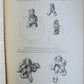 1884-1885 REPORT of AMERICAN BUREAU of ETHNOLOGY by J.POWELL antique ILLUSTRATED