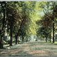 ELIZABETH NJ WESTMINSTER AVENUE 1921 ANTIQUE POSTCARD