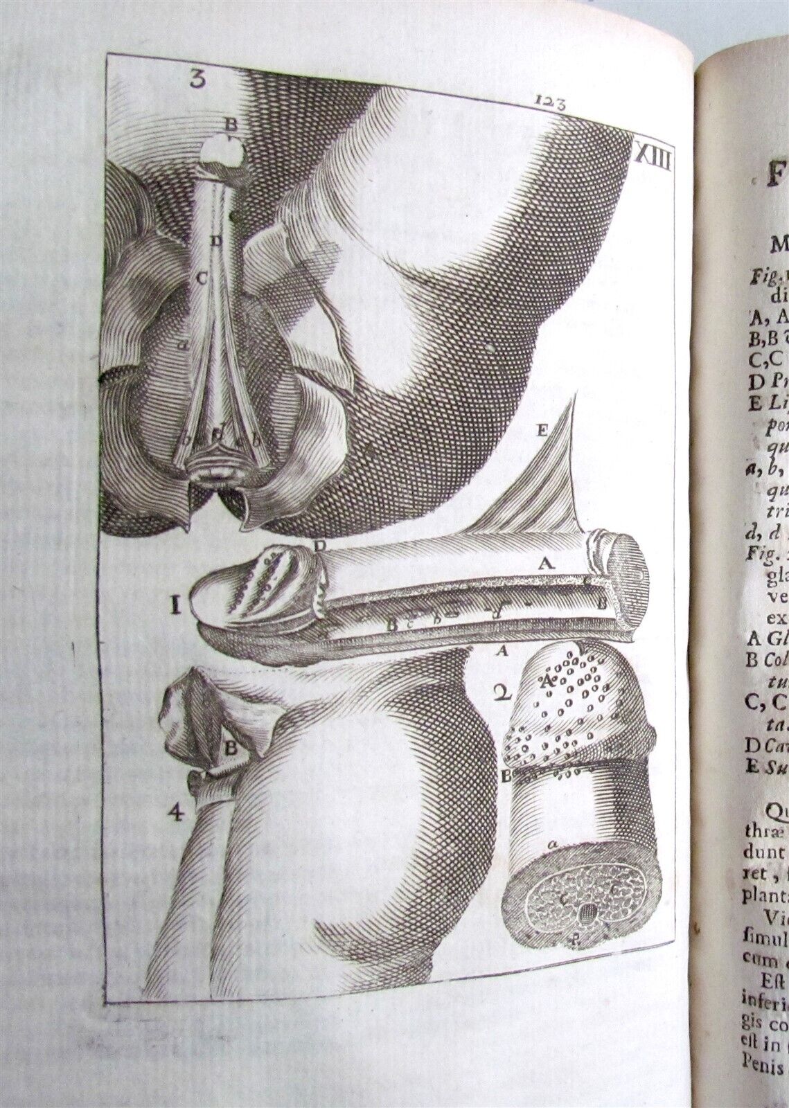 1717 2 VOLUMES ANATOMY ILLUSTRATED CORPORIS HUMANI ANATOMIAE antique in LATIN