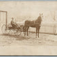 HORSE CARRIAGE ANTIQUE REAL PHOTO POSTCARD RPPC