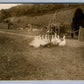 FARM SCENE w/ DUCKS ANTIQUE REAL PHOTO POSTCARD RPPC