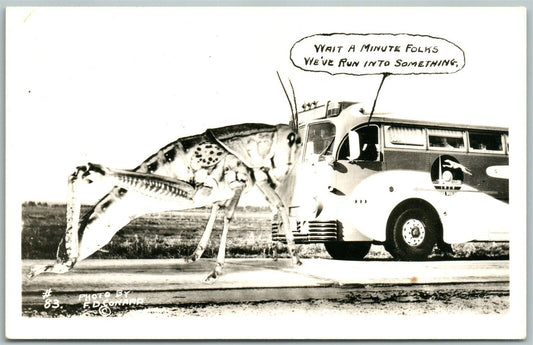 HUGE GRASSHOPPER & BUS ACCIDENT EXAGGERATED VINTAGE REAL PHOTO POSTCARD RPPC