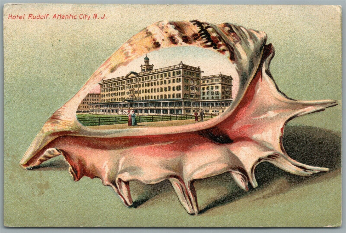 ATLANTIC CITY NJ HOTEL RUDOLF SHELL BORDER ANTIQUE POSTCARD