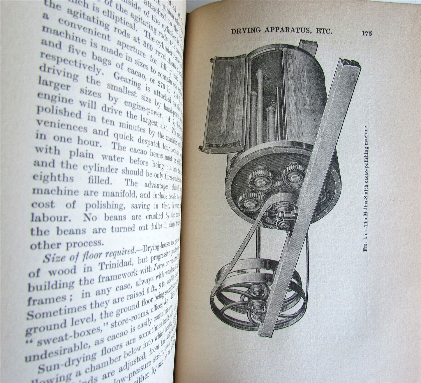 1911 CACAO Manual on the Cultivation and Curing ILLUSTRATED antique