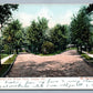 MT.VERNON NY GLEN AVENUE & WILLOW PLACE CHESTER HILL ANTIQUE POSTCARD