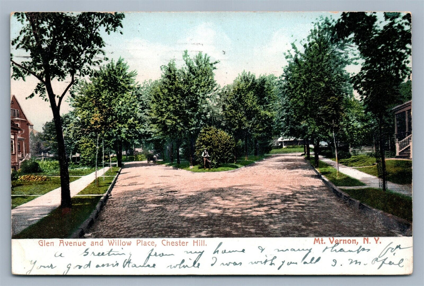 MT.VERNON NY GLEN AVENUE & WILLOW PLACE CHESTER HILL ANTIQUE POSTCARD
