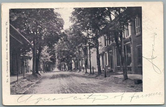 MIFFLENBURG PA EAST CHESTNUT STREET WEST ANTIQUE POSTCARD