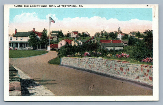 TOBYHANNA PA ALONG LACKAWANNA TRAIL ANTIQUE POSTCARD