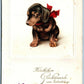 CUTE PUPPY DOG GERMAN ANTIQUE POSTCARD