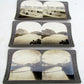 LOT OF 3 ANTIQUE STEREOVIEWS - PANAMA CANAL PHOTOS