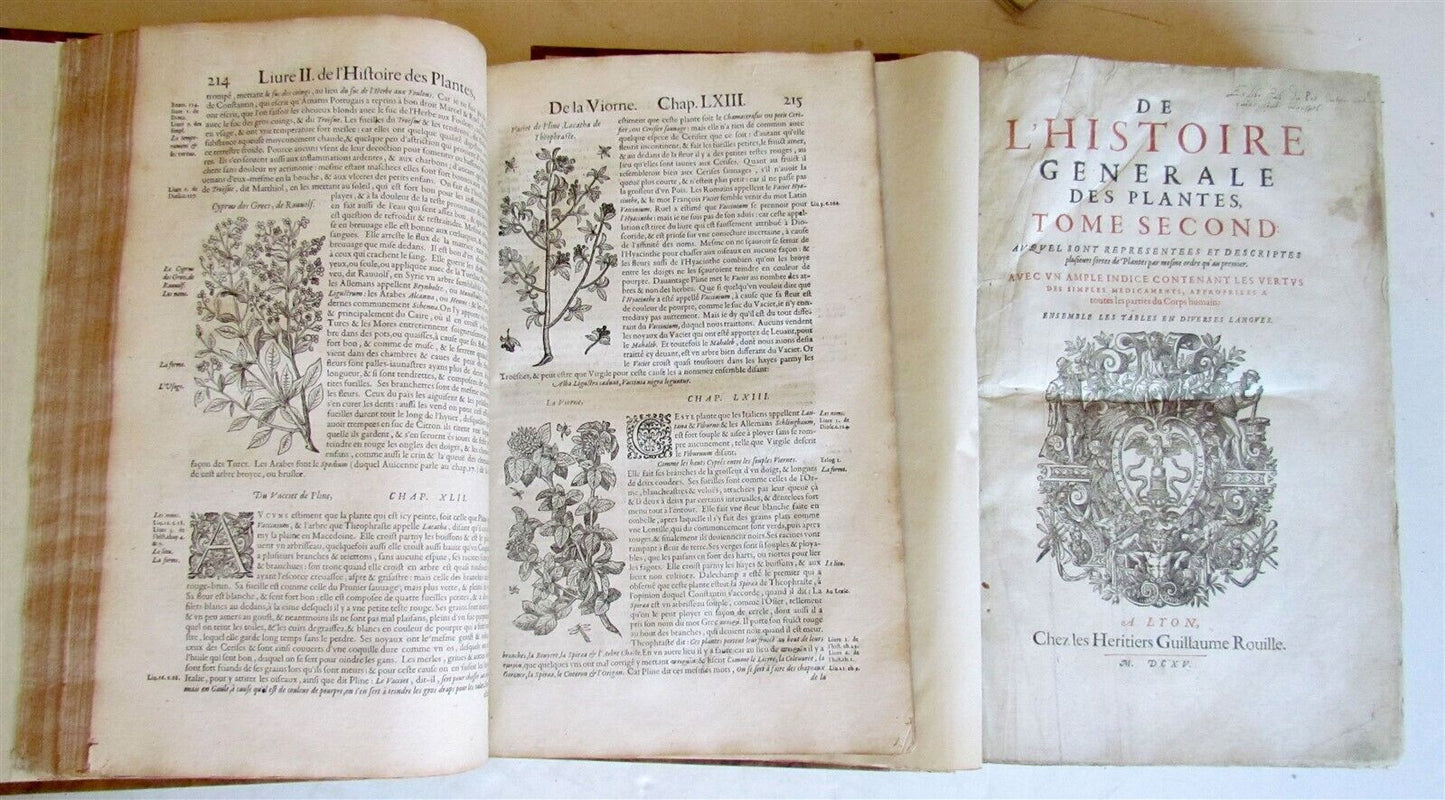 1615 HISTORY of PLANTS by Jacques DALECHAMPS ILLUSTRATED 2 FOLIO VOLUMES antique