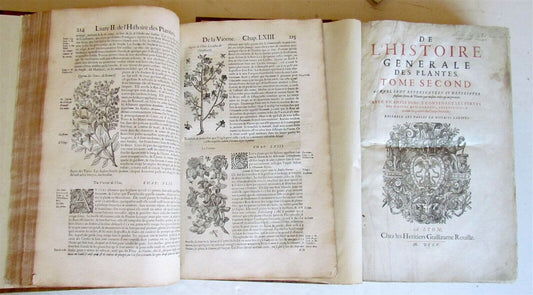 1615 HISTORY of PLANTS by Jacques DALECHAMPS ILLUSTRATED 2 FOLIO VOLUMES antique