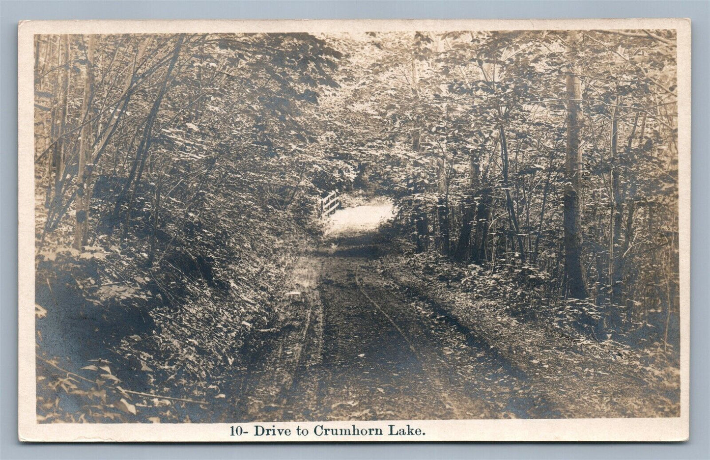 CRUMHORN LAKE NY ANTIQUE REAL PHOTO POSTCARD RPPC