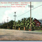 PASADENA CA ORANGE GROVE AVENUE 1908 ANTIQUE POSTCARD