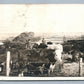 FARMING COWS & PIGS ANTIQUE REAL PHOTO POSTCARD RPPC