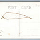 AUSTRALIA GUM LEAF FROM GOLDEN SOUTH ANTIQUE POSTCARD