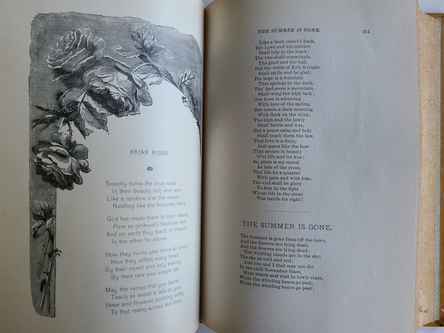 1886 THE LADY of DARDALE & OTHER POEMS HORACE EATON WALKER antique ILLUSTRATED