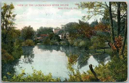 SEELYVILLE PA LACKAWAXEN RIVER 1908 ANTIQUE POSTCARD