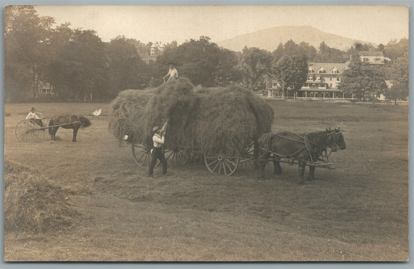 AGRICULTURE SCENE W/ HORSE DRAWN WAGON ANTIQUE REAL PHOTO POSTCARD RPPC