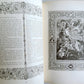 1883 BIBLE in ENGLISH antique BEAUTIFULLY ILLUSTRATED