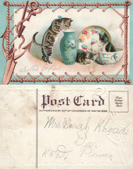 3 CATS UNDIVIDED ANTIQUE POSTCARD