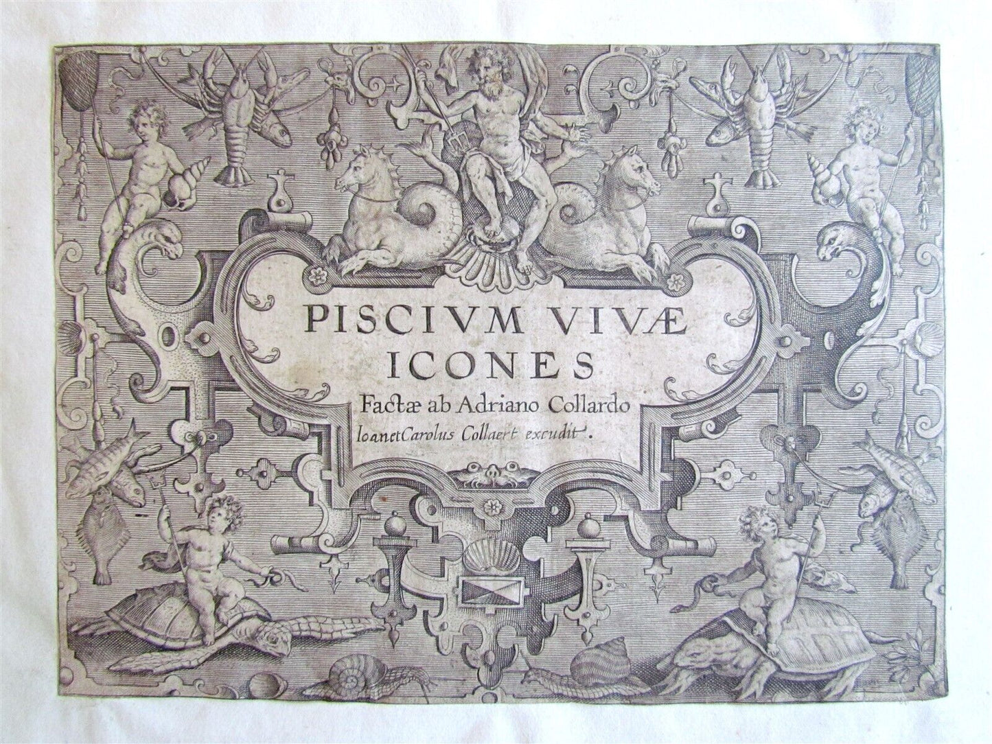 1610 PISCIUM VIVAE ICONES antique 20 ENGRAVINGS by ADRIAEN COLLAERT scarce