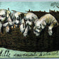 PUPPIES IN BASKET ARTIST SIGNED ANTIQUE POSTCARD w/ AUSTRIAN STAMP