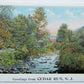 VINTAGE POSTCARD GREETINGS FROM CEDAR RUN N.J.