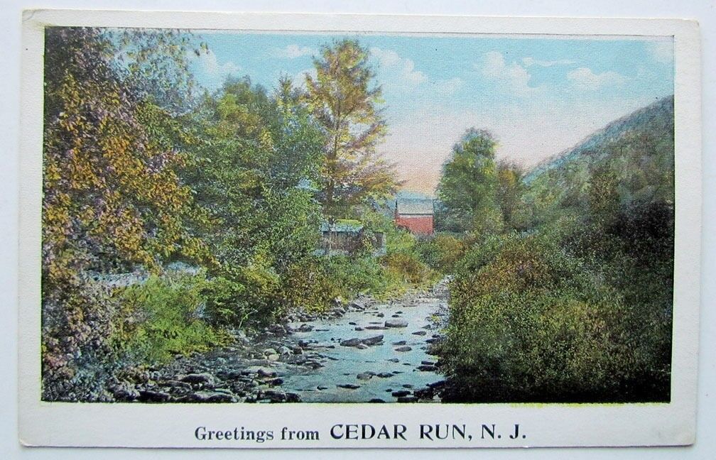 VINTAGE POSTCARD GREETINGS FROM CEDAR RUN N.J.