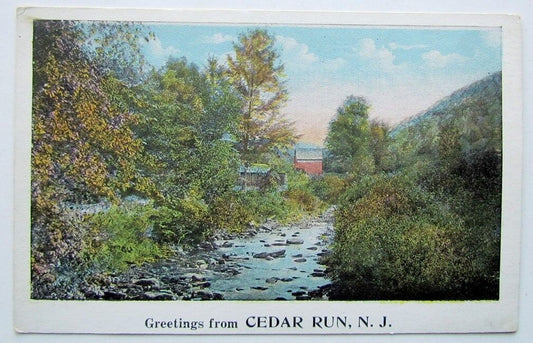 VINTAGE POSTCARD GREETINGS FROM CEDAR RUN N.J.