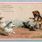 PHILADELPHIA PA ANTIQUE VICTORIAN TRADE CARD CLEMMER'S PIANOS ADVERTISING