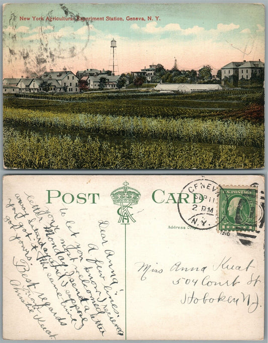 GENEVA N.Y. AGRICULTURAL EXPERIMENT STATION 1916 ANTIQUE POSTCARD CORK CANCEL