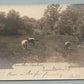 FRENCHTOWN NJ FARM SCENE w/ COWS ANTIQUE REAL PHOTO POSTCARD RPPC
