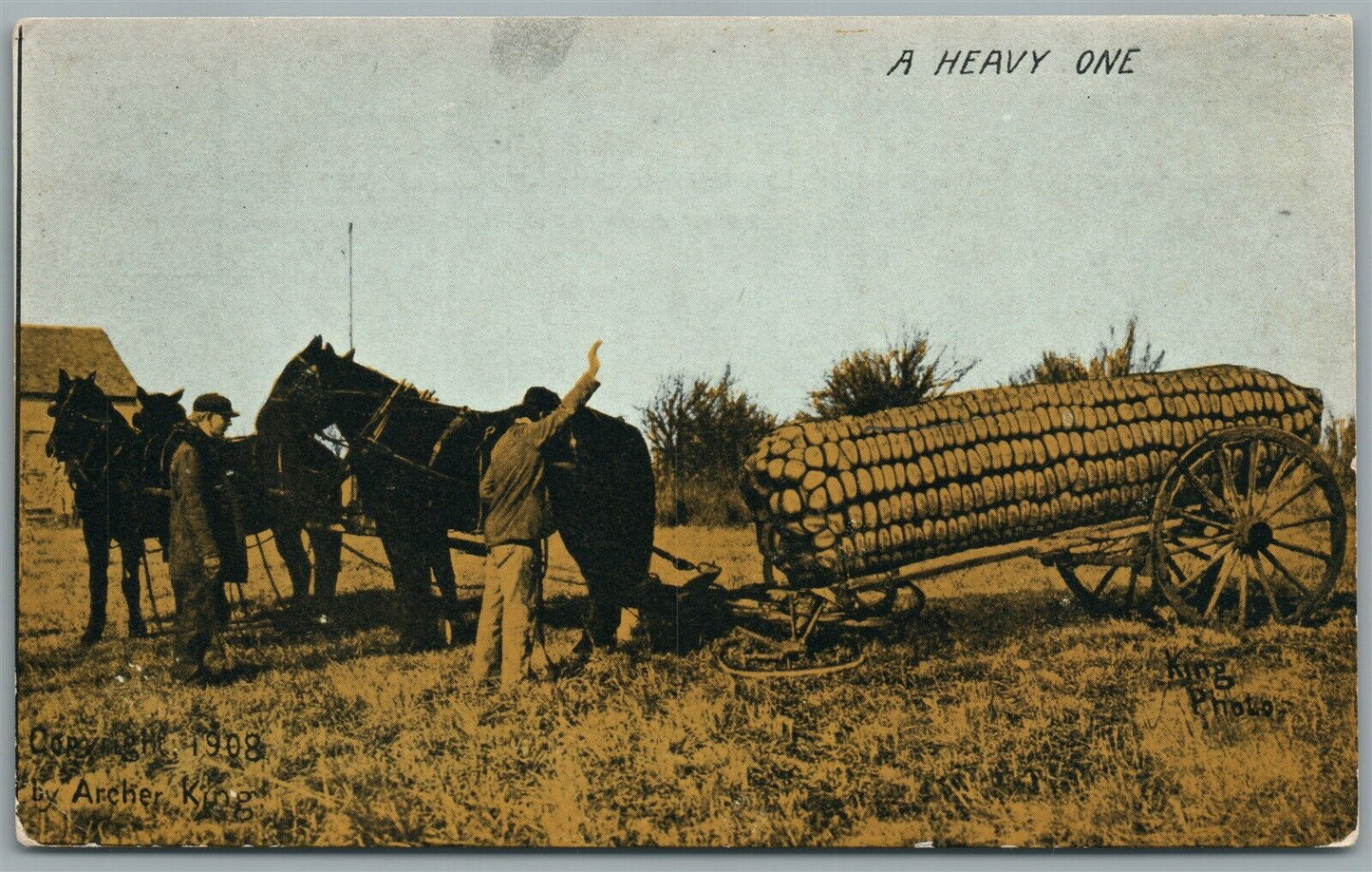 EXAGGERATED CORN ANTIQUE POSTCARD a heavy one