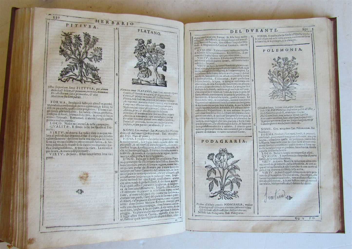 1667 HERBARIO NOVO by Castore DURANTE antique PLANTS BOTANY FULLY ILLUSTRATED