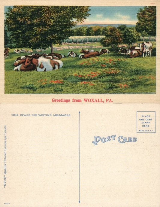 GREETINGS FROM WOXALL PA VINTAGE POSTCARD farm scene