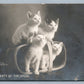 CATS BOX PARTY AT THE OPERA ANTIQUE REAL PHOTO POSTCARD RPPC