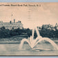 NEWARK NJ BRANCH BROOK PARK ANTIQUE POSTCARD