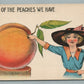 EXAGGERATED PEACHES ANTIQUE POSTCARD