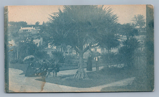 PIONEER ANTIQUE POSTCARD STREET SCENE in CALIFORNIA?