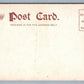 BROOKLYN NY CONEY ISLAND LUNA PARK ANTIQUE POSTCARD
