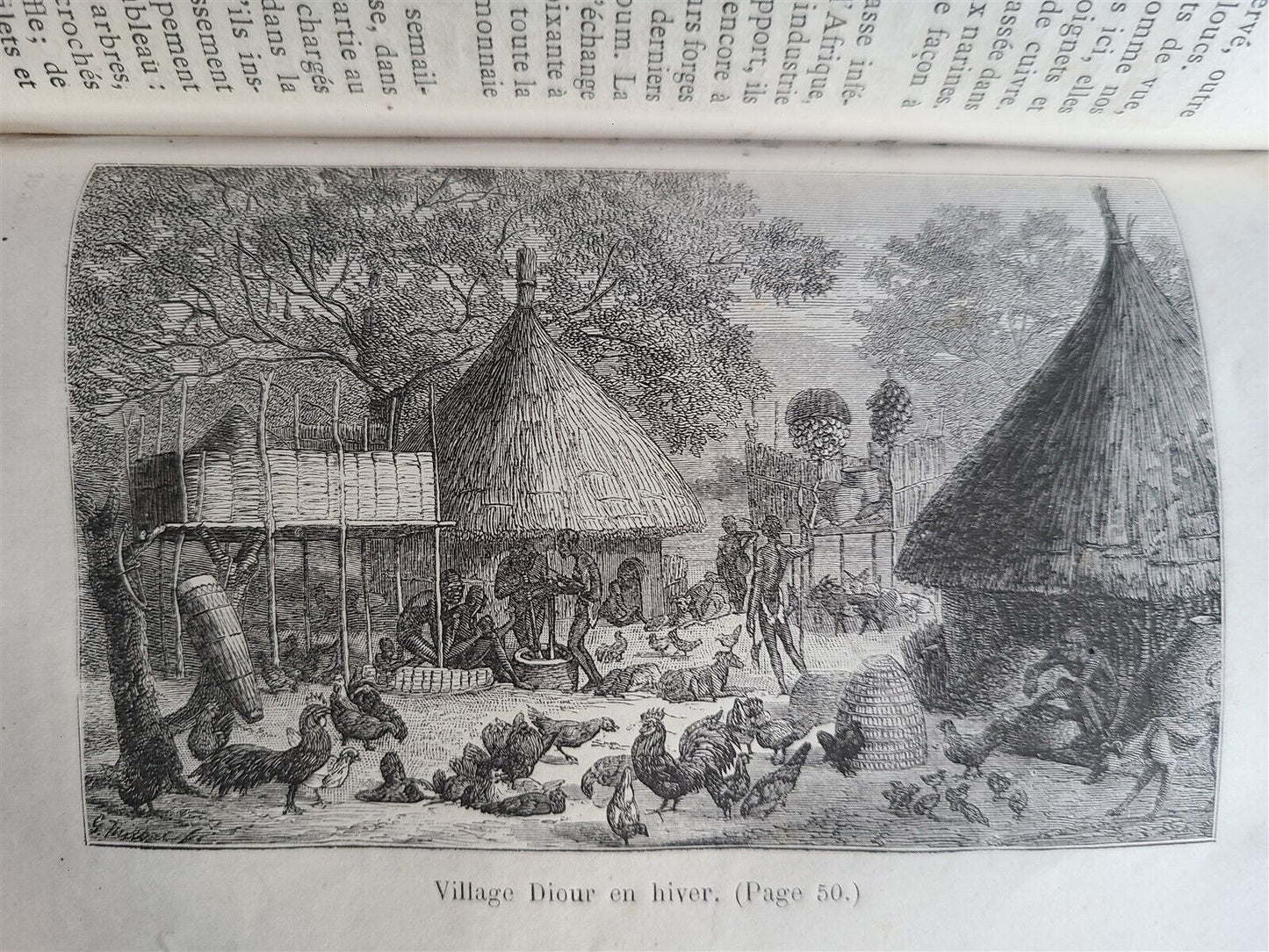 1877 AFRICAN VOYAGE by George SCHWEINFURTH antique ILLUSTRATED w/ PLATES & MAP