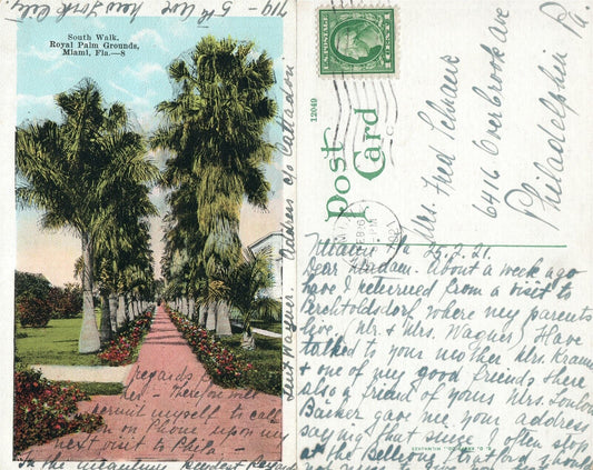 MIAMI FL ROYAL PALM GROUNDS SOUTH WALK ANTIQUE POSTCARD