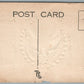 W. BRYAN vs J. KERN NATIONS CHOICE FOR PRESIDENT PATRIOTIC ANTIQUE POSTCARD