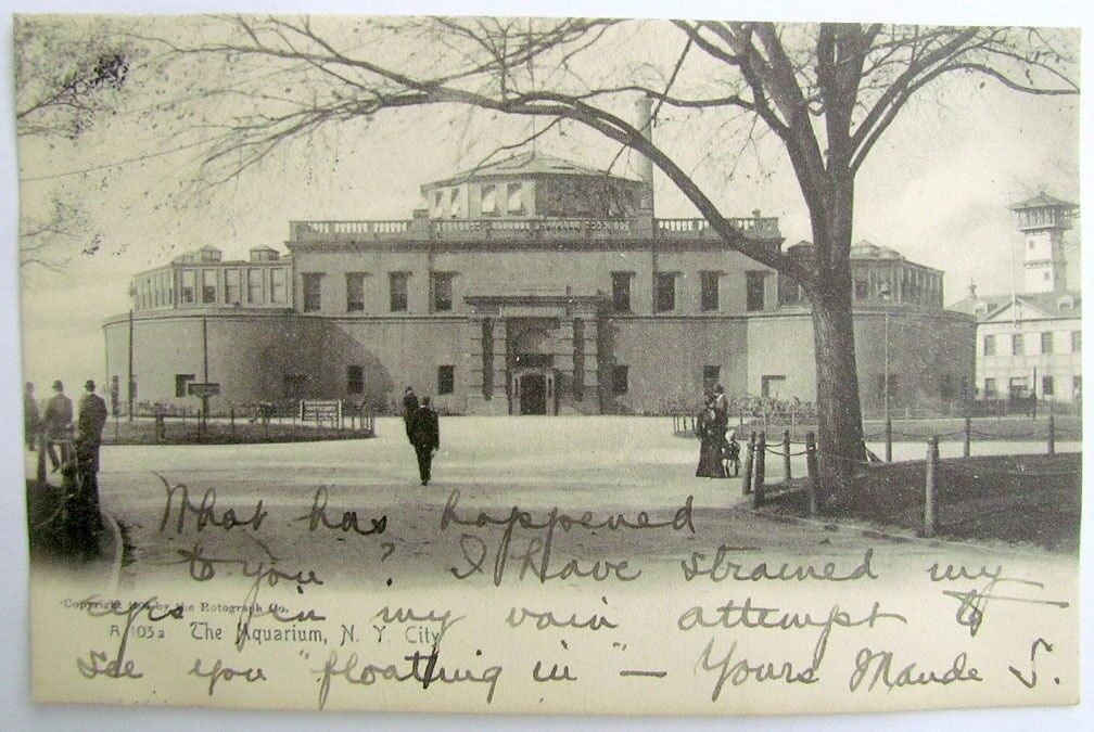 1906 ANTIQUE UNDIVIDED POSTCARD - THE AQUARIUM N.Y. CITY