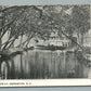 BRIDGETON NJ FOOT OF RACE WAY ANTIQUE POSTCARD